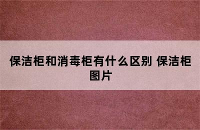 保洁柜和消毒柜有什么区别 保洁柜图片